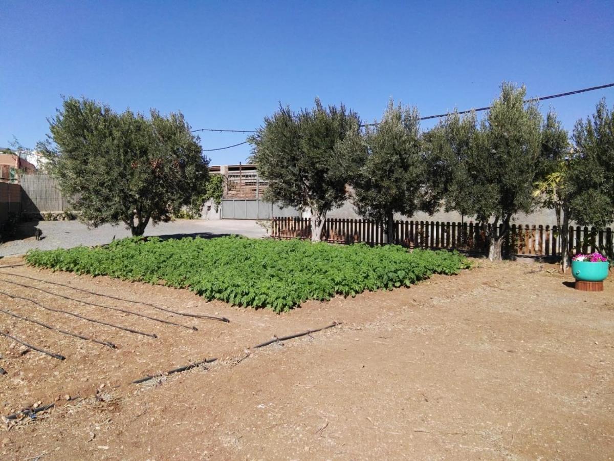 La Casita Del Naranjo Villa Agüimes Екстериор снимка